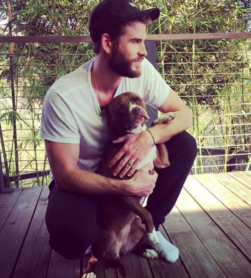 Liam Hemsworth tillsammans med sin hund. Liam Hemsworth tillsammans med sin hund.