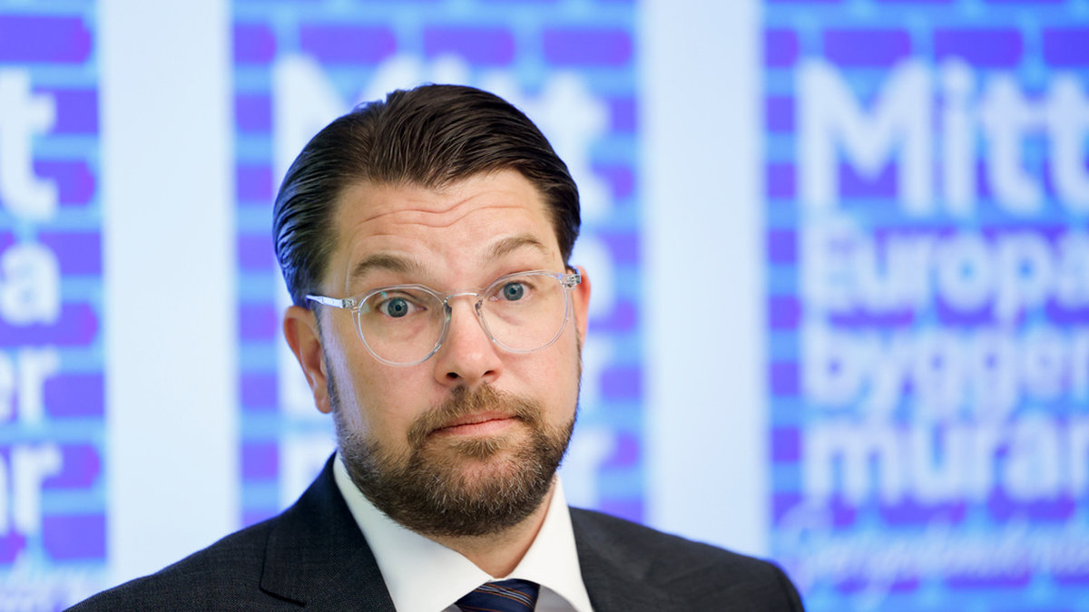 Kritik mot Åkessons
