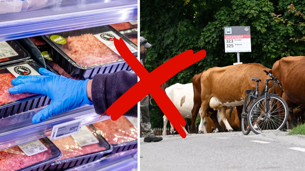 Stor köttkris i Sverige – lägsta slakten på flera år