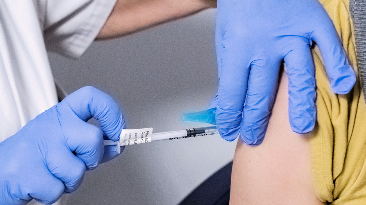 Blekinge är en av de platser i Sverige där borreliavaccinet ska testas. Arkivbild.