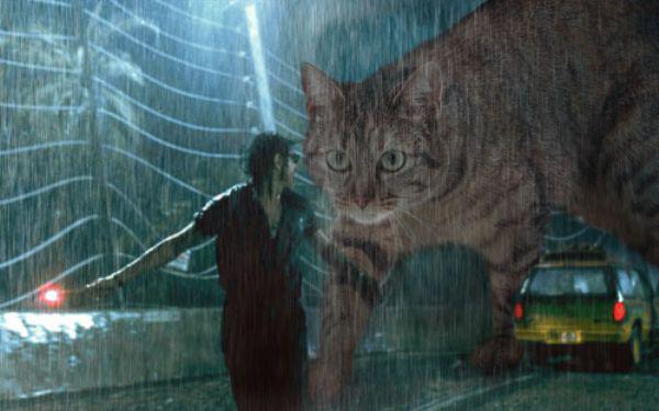 Kattastrof. Kattastrof.