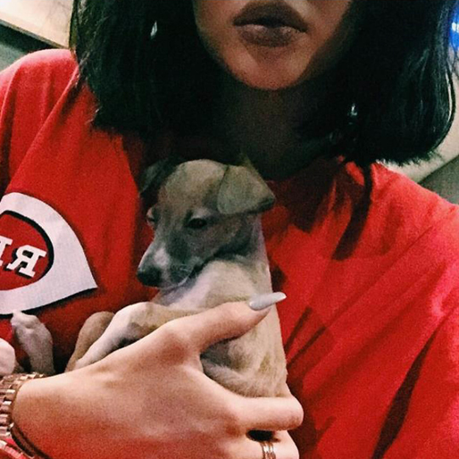 Kylie Jenner matchar läpparna med hunden. Kylie Jenner matchar läpparna med hunden.