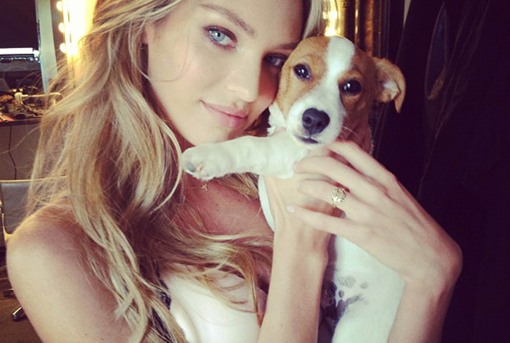Victorias Secrets-modellen Candice gosar med sin hund. Victorias Secrets-modellen Candice gosar med sin hund.