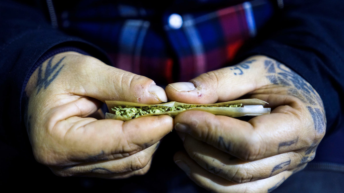 Cannabis-brukandet ökar, visar nya studier.