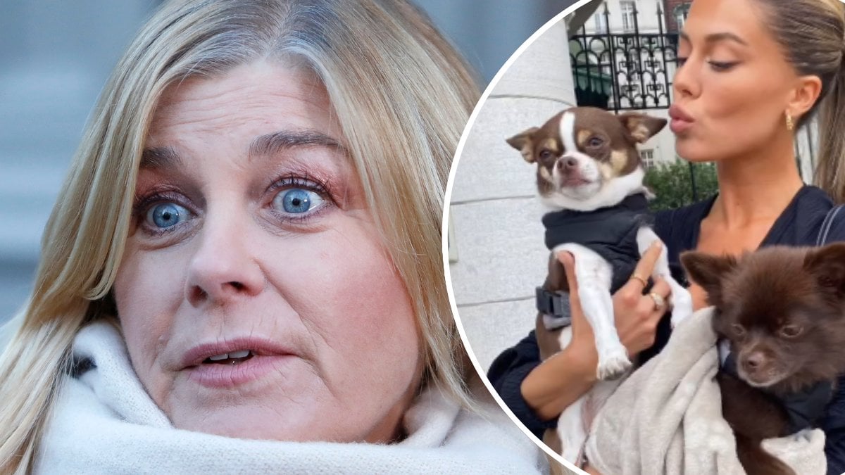 Pernilla Wahlgrens besked om hundarna: 