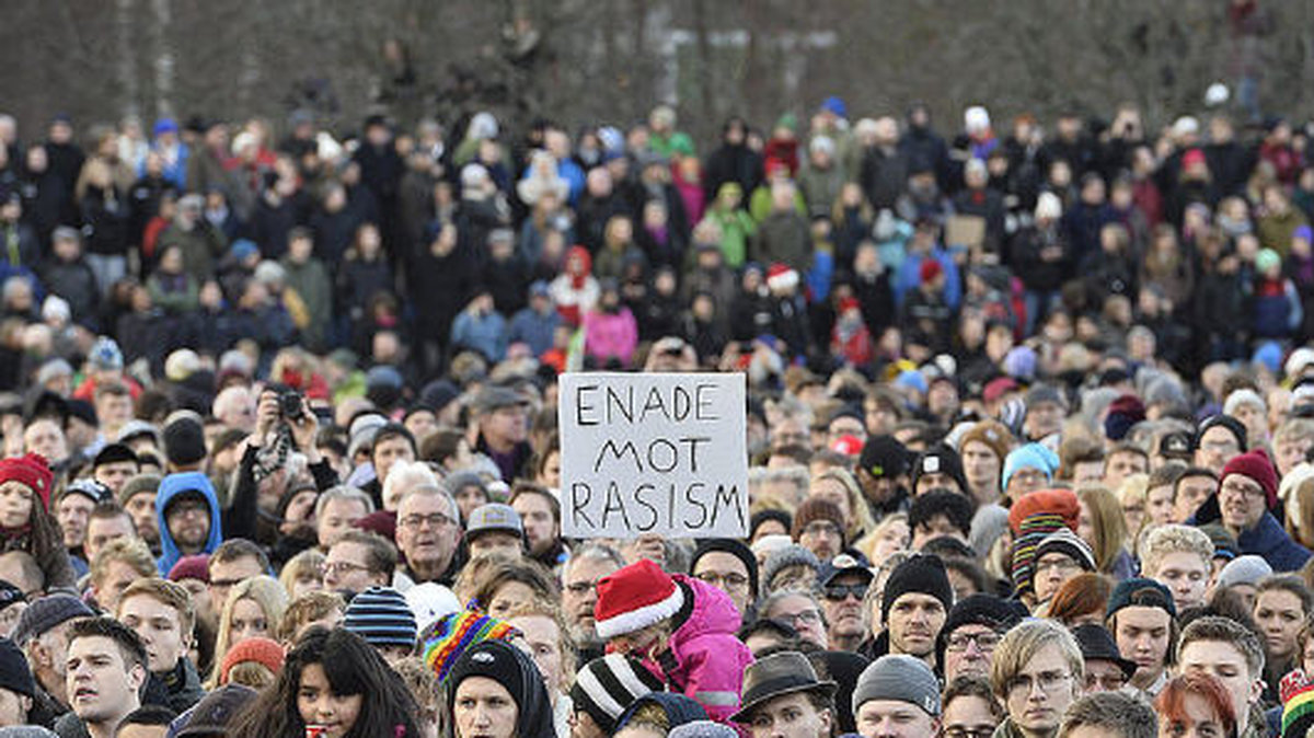 En till bild på publikhavet och alla demonstranter i Kärrtorp 2013.