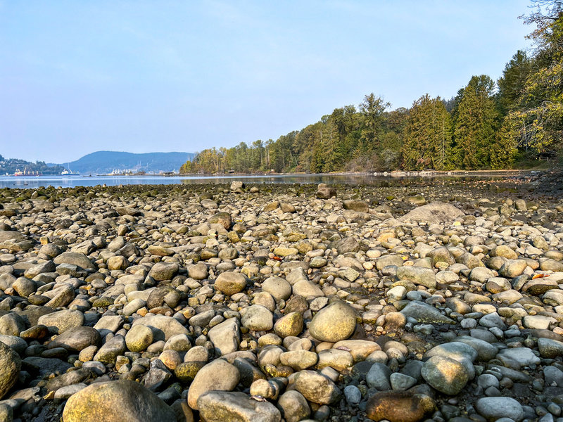 Torka i Port Moody utanför Vancouver.