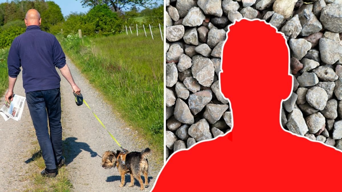 Man och hund gick på promenad – fick stenar kastade på sig