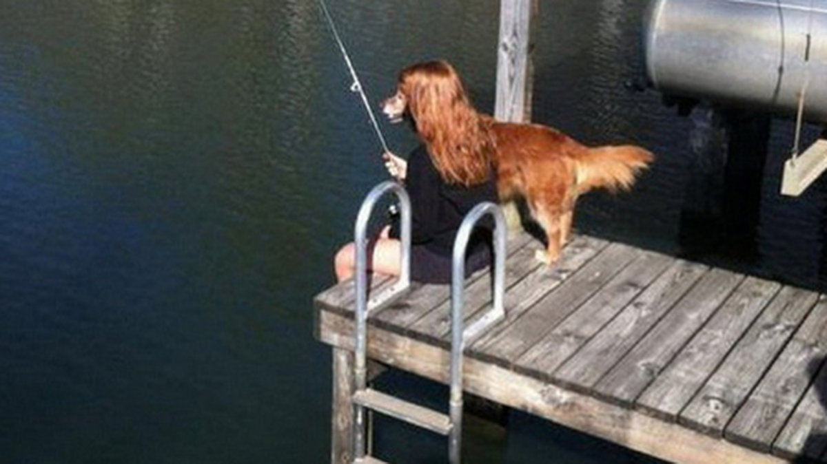 Det här är inte en hund som sitter och fiskar.