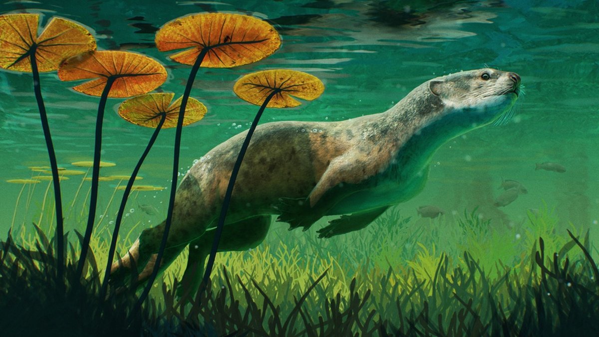 En konstnärlig tolkning av hur potamotherium valletoni kan ha sett ut.