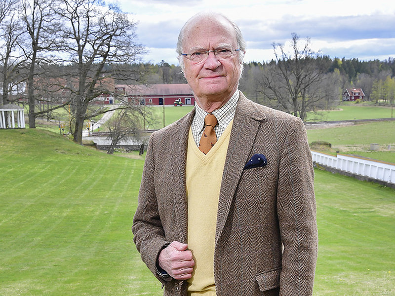 Kungen Kungen