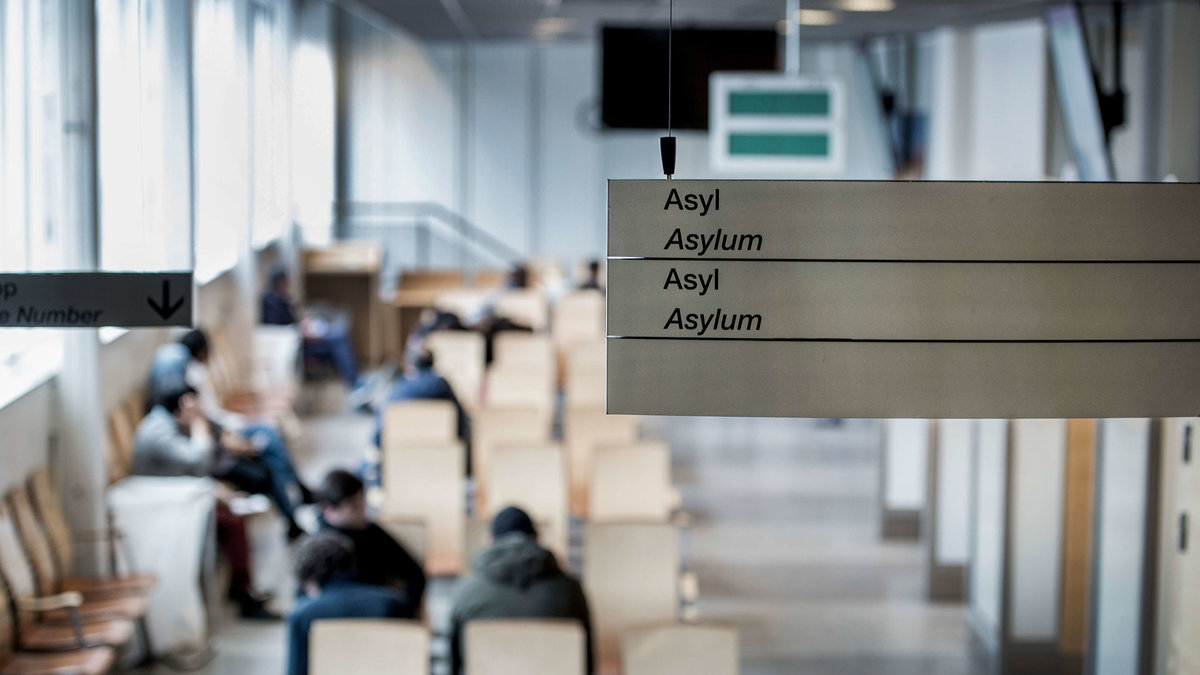 Även Aftonbladet rapporterade att flyktingvågen från Syrien har gett Sverige "sin största akademiska tillströmningen hittills".