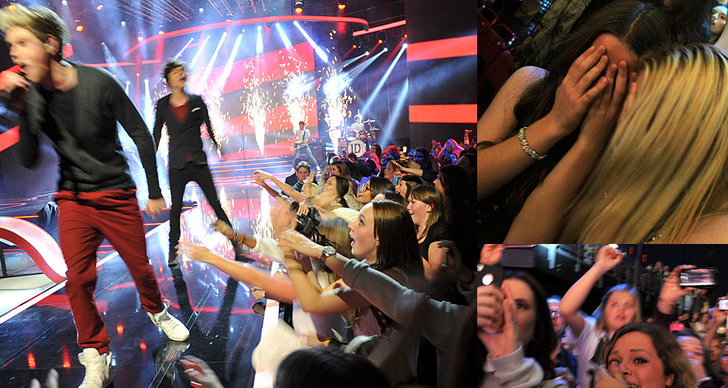 X-factor, One direction, Fans, TV4