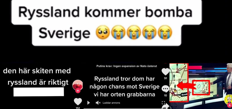 Ett axplock av alla filmer och texter som snurrar på Tiktok.