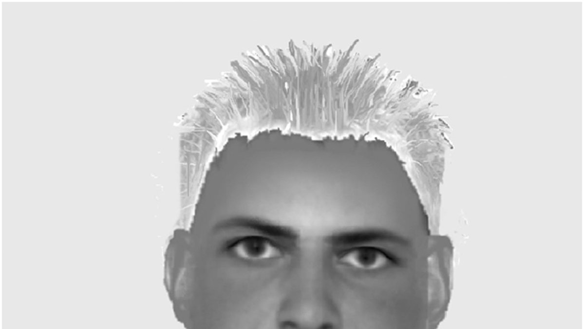 Fantombilden från dubbelmordet i Linköping. Enligt polisen är den häktade konstnären lik mannen på fantombilden.