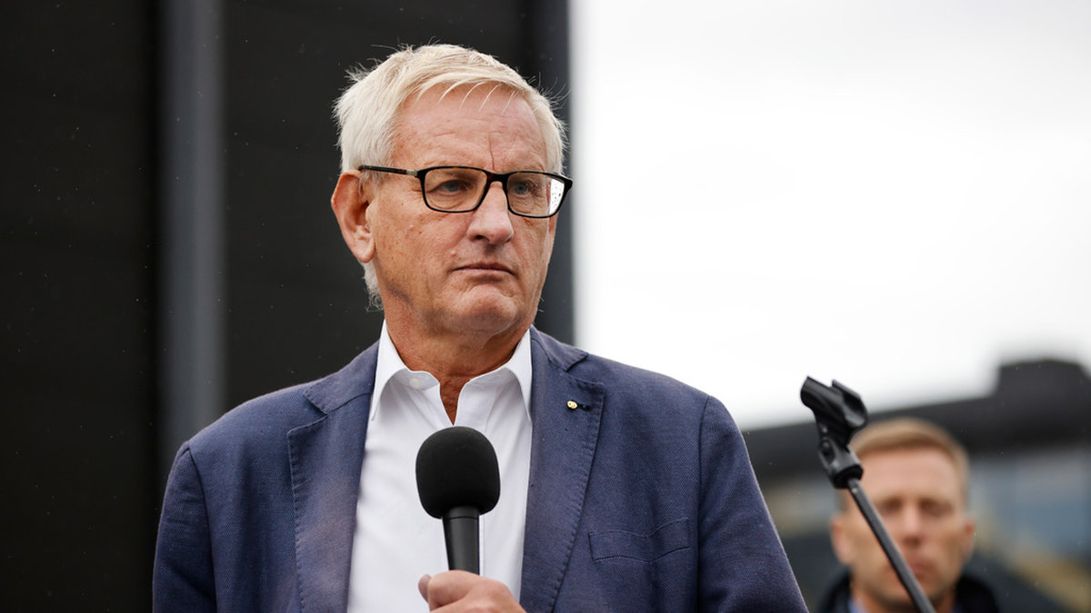 Enligt tidigare statsministern Carl Bildt var söndagens demonstranter bara ute efter att provocera och sinka Sveriges Natoprocess.