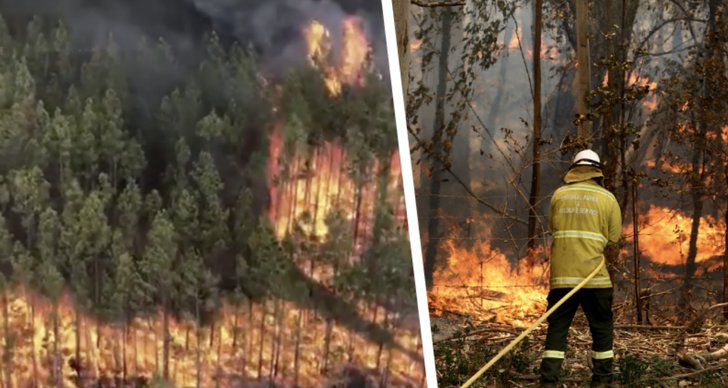 Australien, Skogsbränder