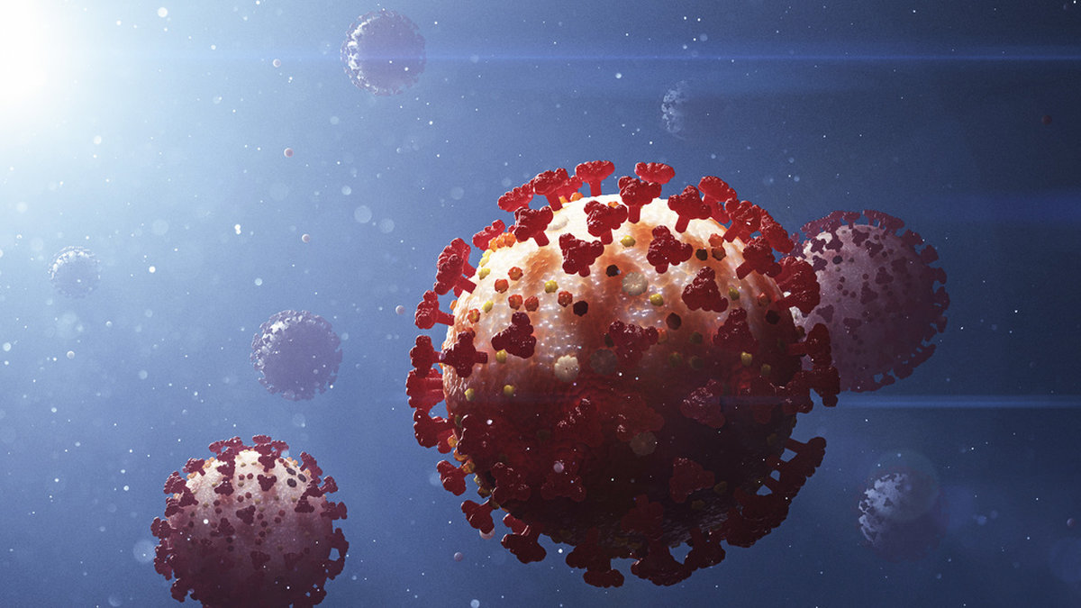 Coronavirusvarianten omikron har flera egenskaper som gör den mer smittsam än tidigare varianter. Bilden är en illustration.