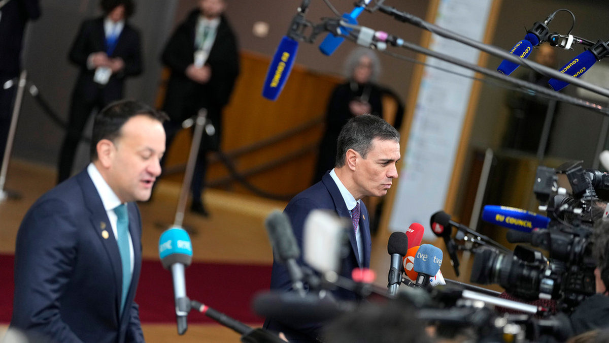 Irlands premiärminister Leo Varadkar (till vänster) och Spaniens premiärminister Pedro Sánchez. Arkivbild.