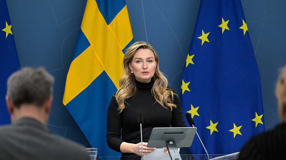 Energi- och näringsminister Ebba Busch (KD) anmäls till riksdagens konstitutionsutskott. Arkivbild.