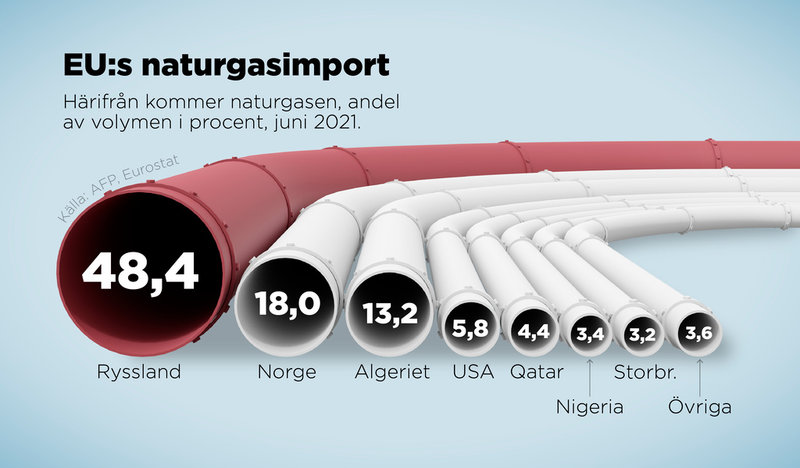 Härifrån kommer EU:s naturgas, andel av volymen i procent 2021.
