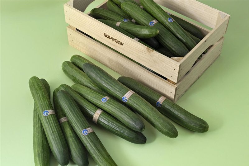 Så här ser de "inoljade" gurkorna ut. Foto: Icagruppen