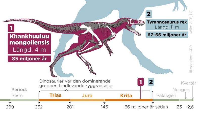 Dinosauriearten Khankhuuluu mongoliensis tros ha levt för cirka 85 miljoner år sedan och är besläktad med den betydligt större Tyrannosaurus rex.