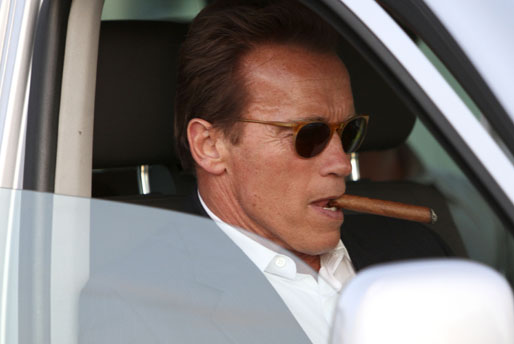 Peter Stormare, Arnold Schwarzenegger
