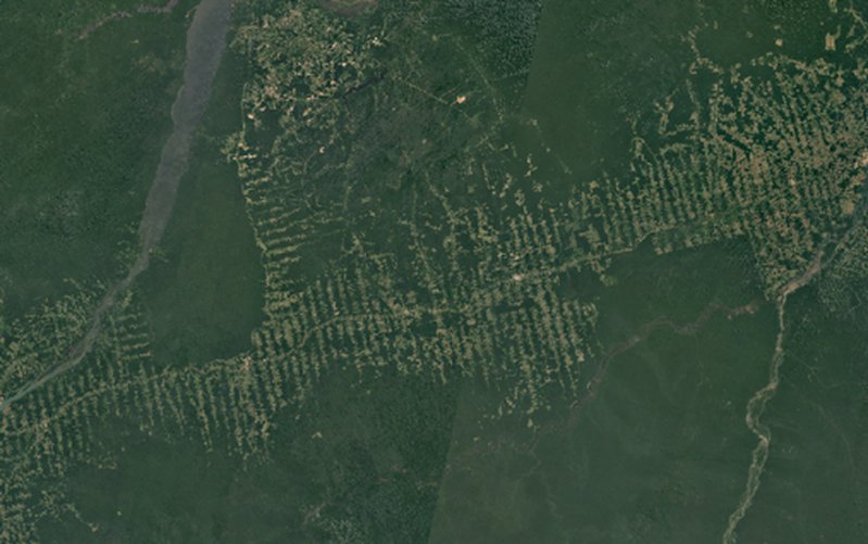 Satellitbild över Amazonas skörd år 2018. Satellitbild över Amazonas skörd år 2018.