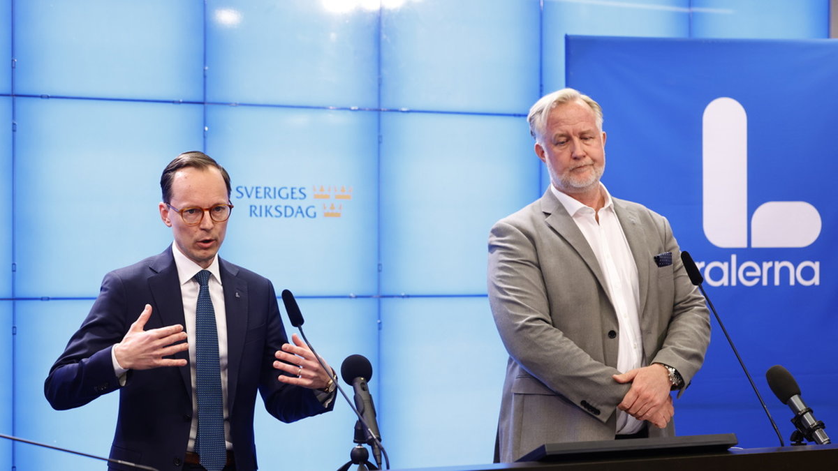 Liberalernas ekonomisk-politiska talesperson Mats Persson och partiledare Johan Pehrson. Arkivbild.
