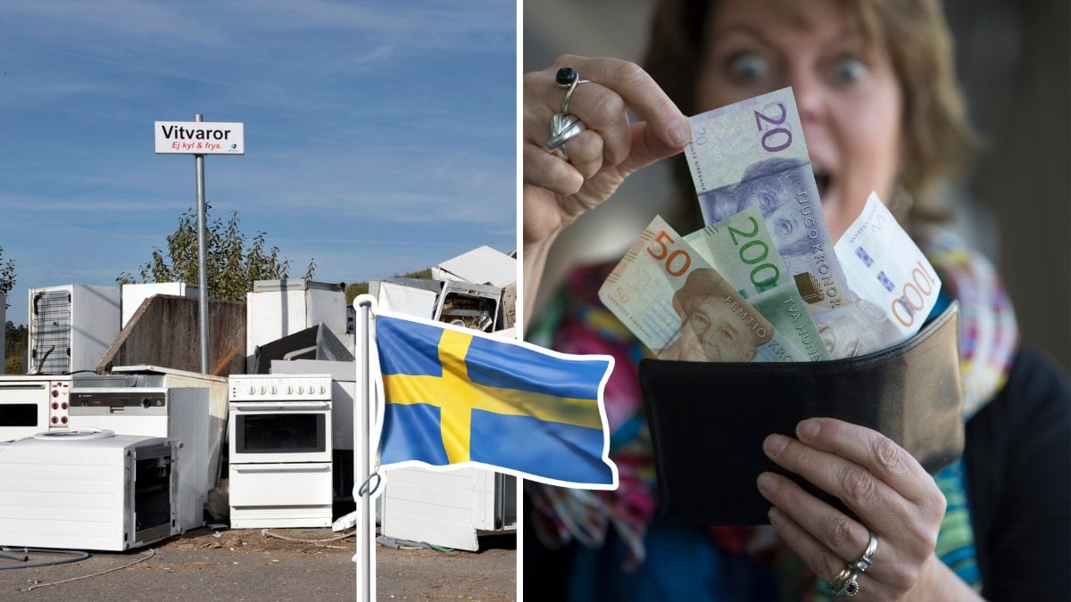 Nya reparationsregler i Sverige – köpen som kan bli billigare