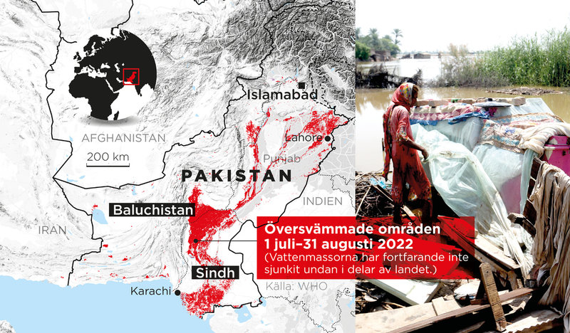 Översvämmade områden 1 juli–31 augusti 2022.