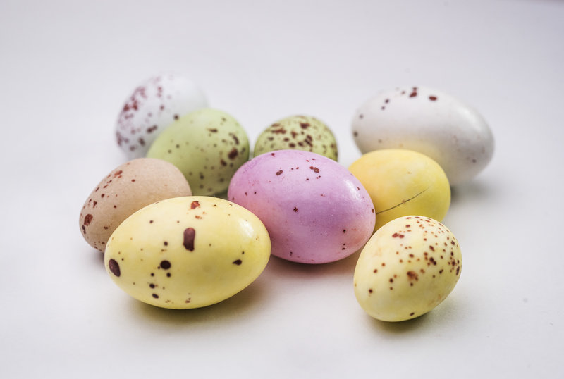 Äggjakten slutade i en tragedi. Foto: Tomas Oneborg/SvD/TT Äggjakten slutade i en tragedi. Foto: Tomas Oneborg/SvD/TT