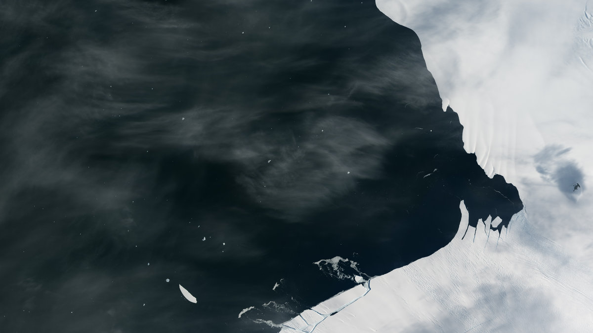 Flera isberg har brutit ifrån Pine Island Glacier på Antarktis.