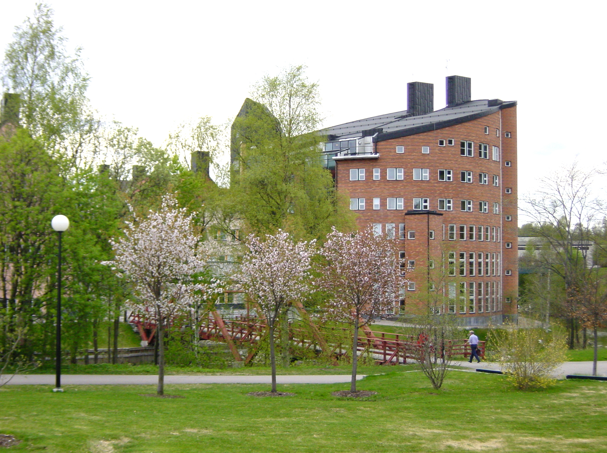Åtta elever har stängts av vid Mittuniversitetet i Sundsvall. Hälften pluggar kriminologi.
