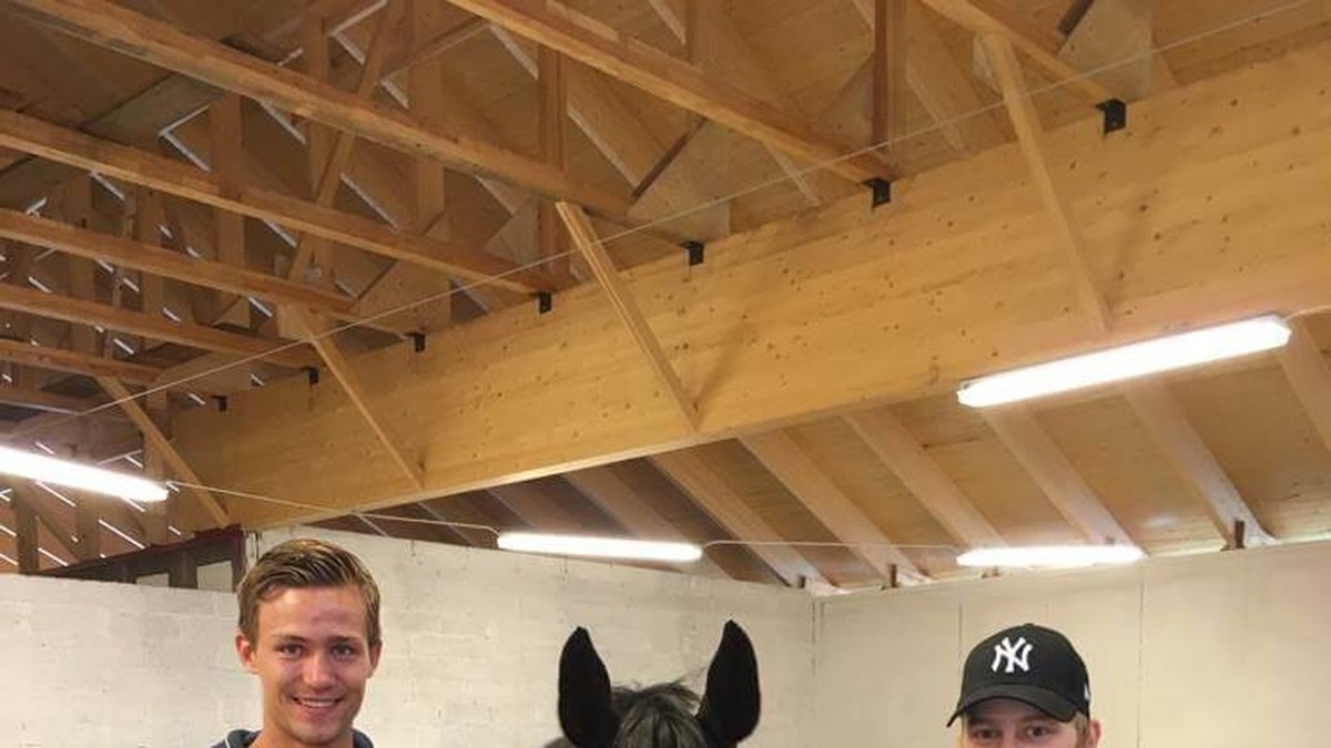 Veterinärkliniken var djupt imponerade av Alex insats. 
Till vänster i bilden syns Jimmy, hästen Diesel och Alex.