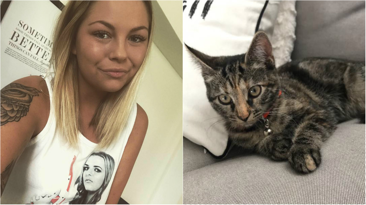 22-åriga Josefins katt blev överkörd – varför stannade ingen?