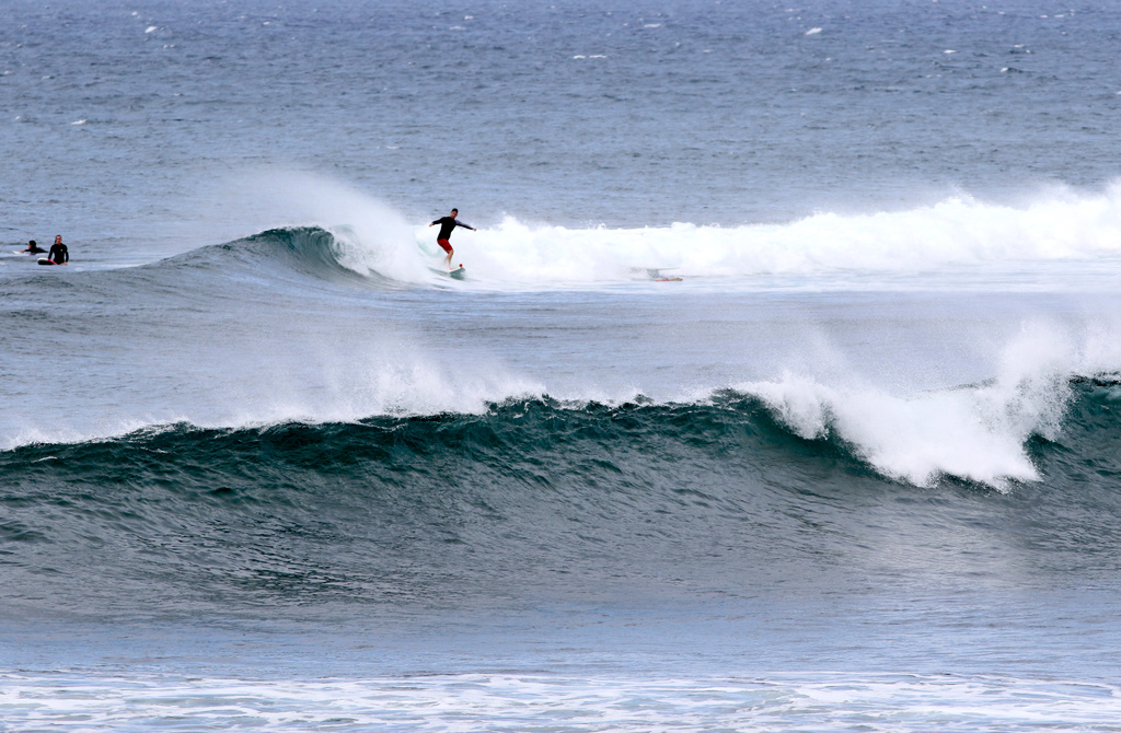 En man i Australien tvingas böta efter att ha surfat med sin pytonorm. Arkivbild.