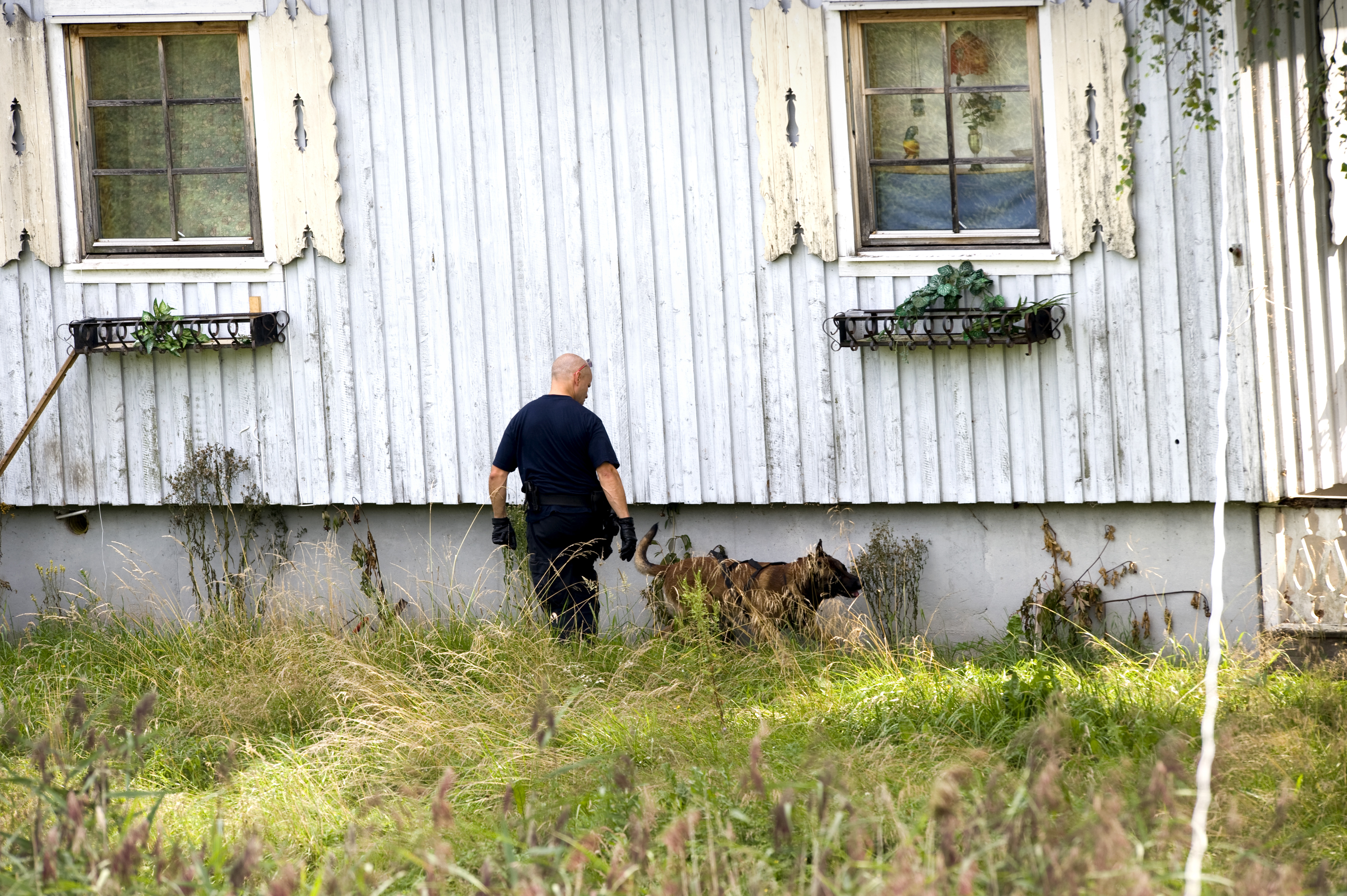 Ett tjugotal poliser söker efter gärningsmännen med hjälp av hundar.