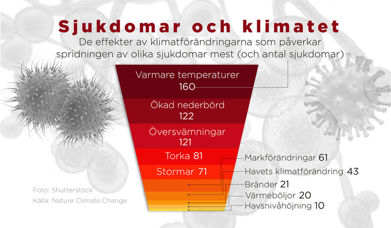 De effekter av klimatförändringarna som påverkar spridningen av olika sjukdomar mest (och antal sjukdomar).