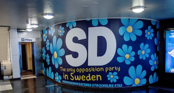 Sverigedemokraterna, Vingåker, Rasism, Facebook