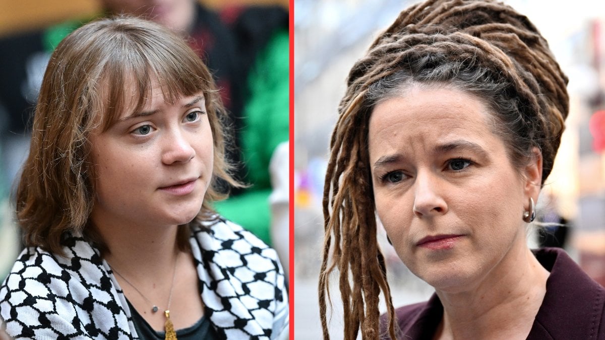 Amanda Linds attack mot Greta Thunberg