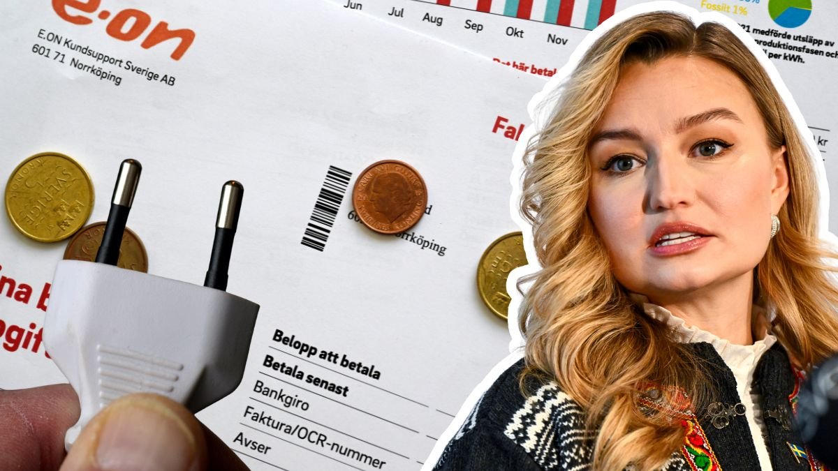 Gemensamma elnät i EU kan kosta Sverige – förslaget sågas