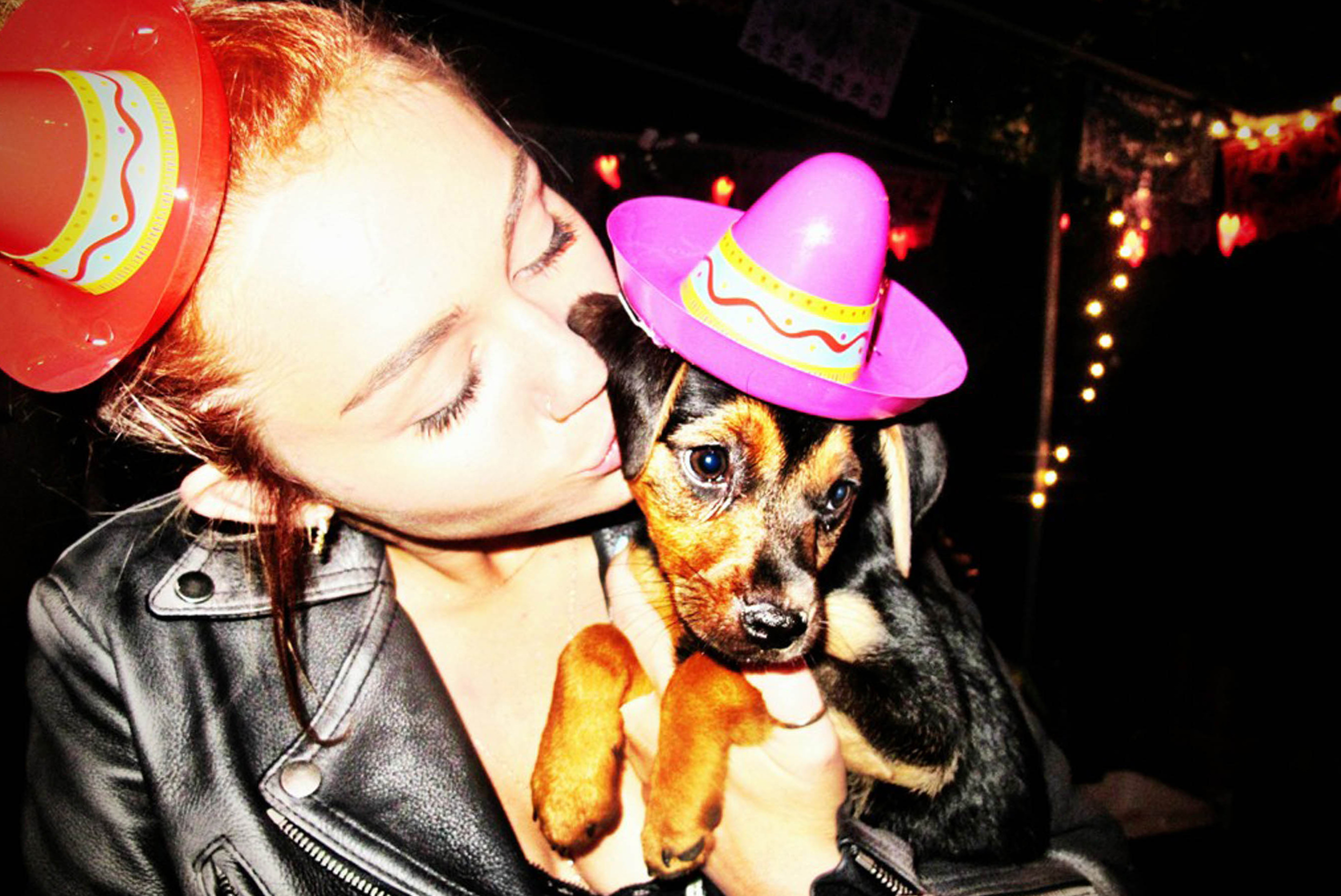 Miley Cyrus har hittat världens sötaste hundvalp att pussa på. 