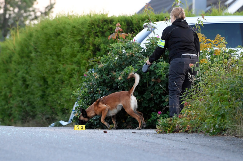 Polisens tekniker på plats med sökhund vid den misstänkta brottsplatsen.