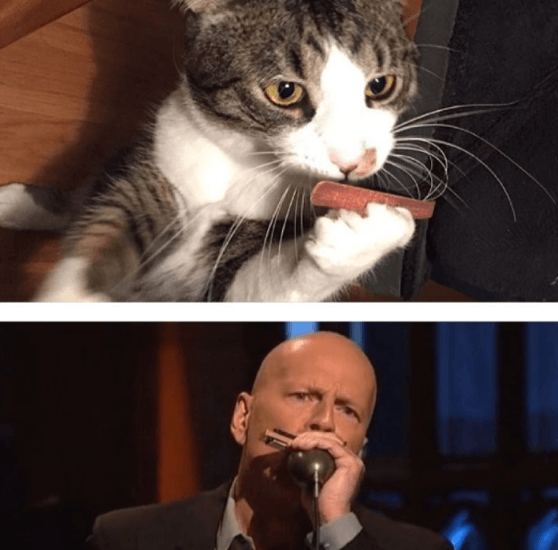 Bruce Willis. Bruce Willis.