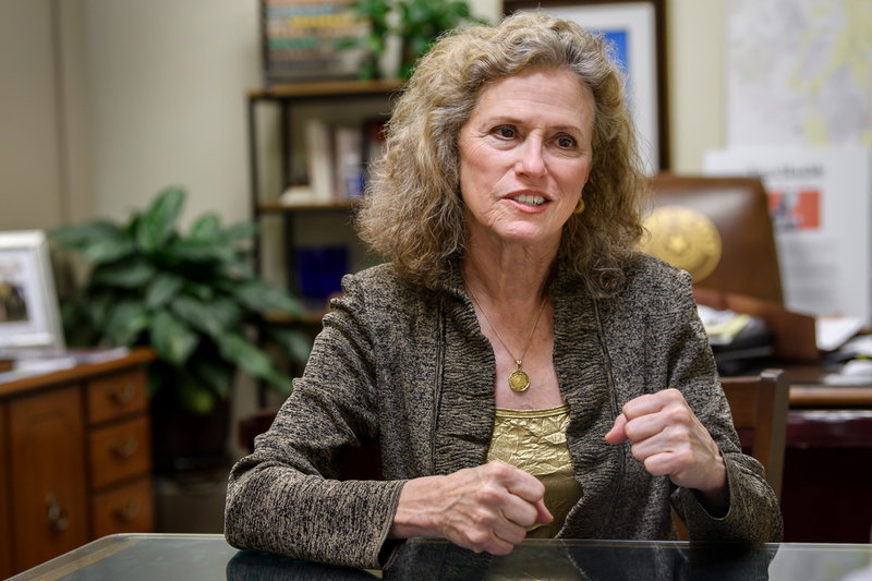 Demokraten Donna Howard sitter i Texas delstatskongress. Hon undrar varför så många republikaner spelar ner attacken på kongressen i Washington DC för ett år sedan.