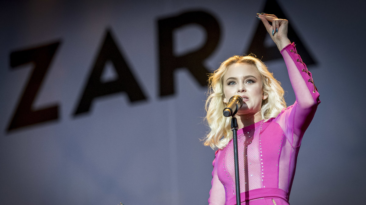 En våldtäkt skedde i publikhavet på Zara Larssons spelning på Bråvallafestivalen.