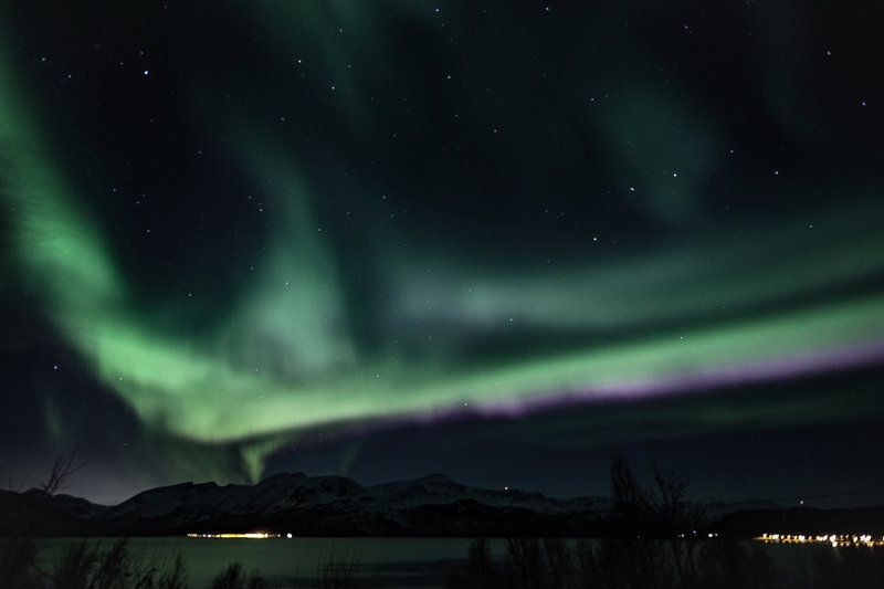 Norrsken fotograferat i Troms i Norge. Polarsken är ofta gulgröna till färgen. De kan också vara röda eller skifta i rödviolett. Arkivbild.