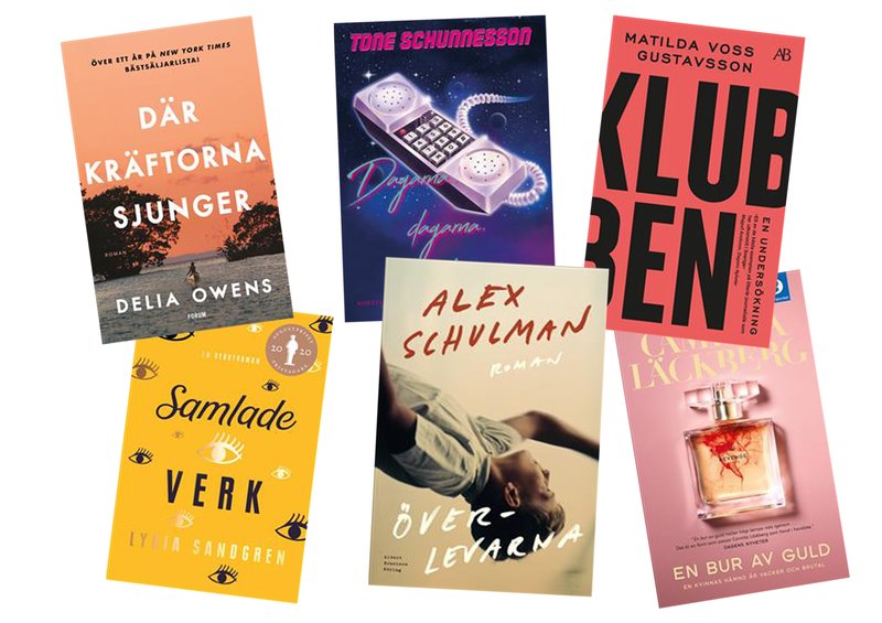 Julklapp till mamma: En riktigt bra bok Julklapp till mamma: En riktigt bra bok